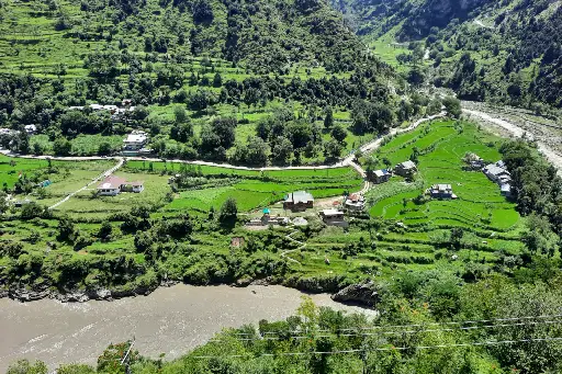 auli or manali 