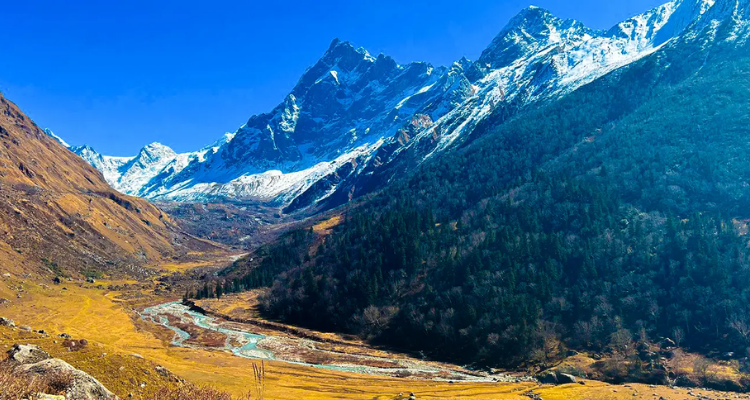 Mussoorie - Dhanaulti Tour