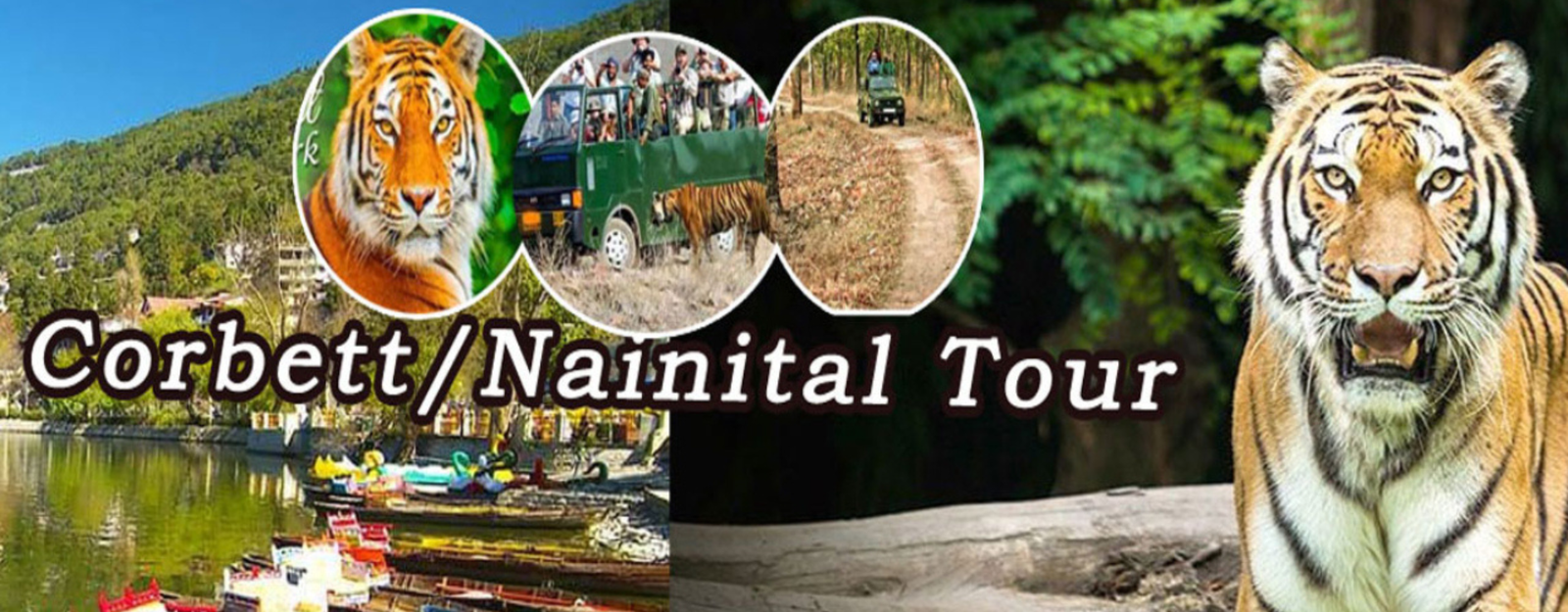 Nainital – Corbett – Kausani – Ranikhet – Almora: Kumaon & Corbett Explorer