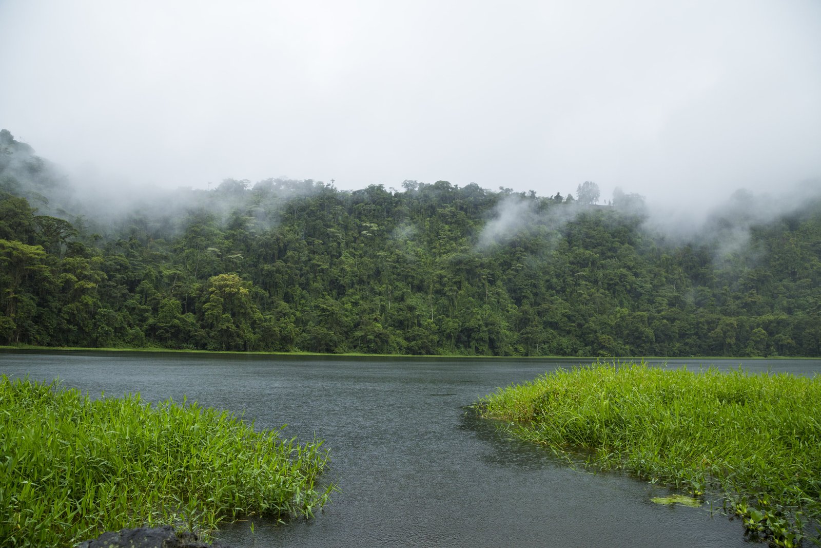 Sikkim – Darjeeling: Sikkim–Darjeeling Delight